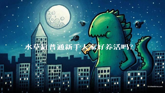 水草缸普通新手人家好养活吗？