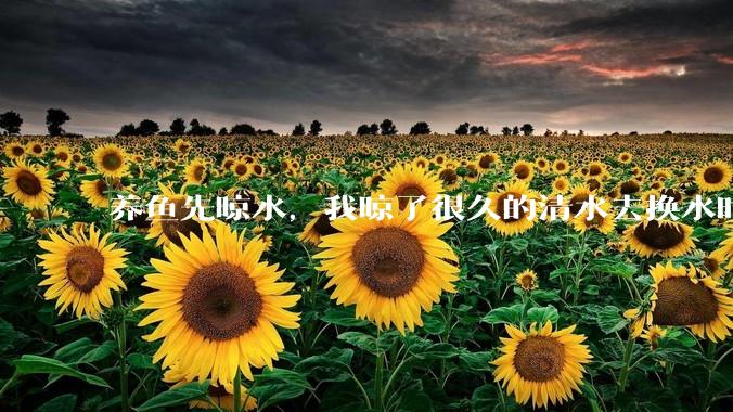 养鱼先晾水，我晾了很久的清水去换水时，发现居然全发霉了，想不明白，求解？
