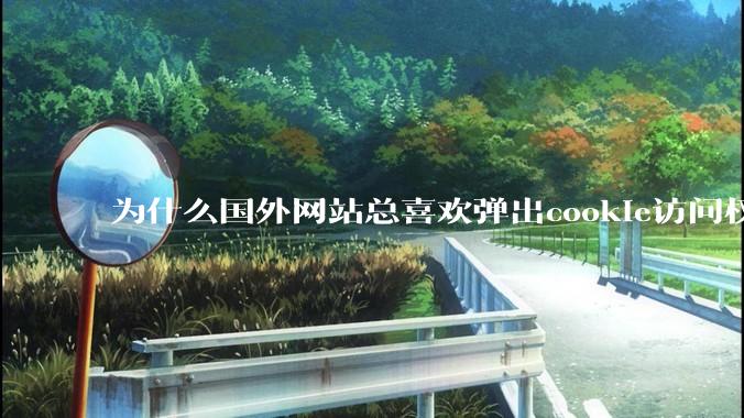 为什么国外网站总喜欢弹出cookie访问权限弹窗，国内网站却没有，这么做有什么意义？