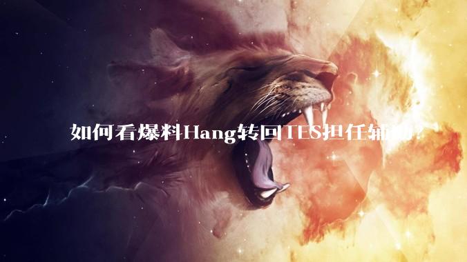 如何看爆料Hang转回TES担任辅助？